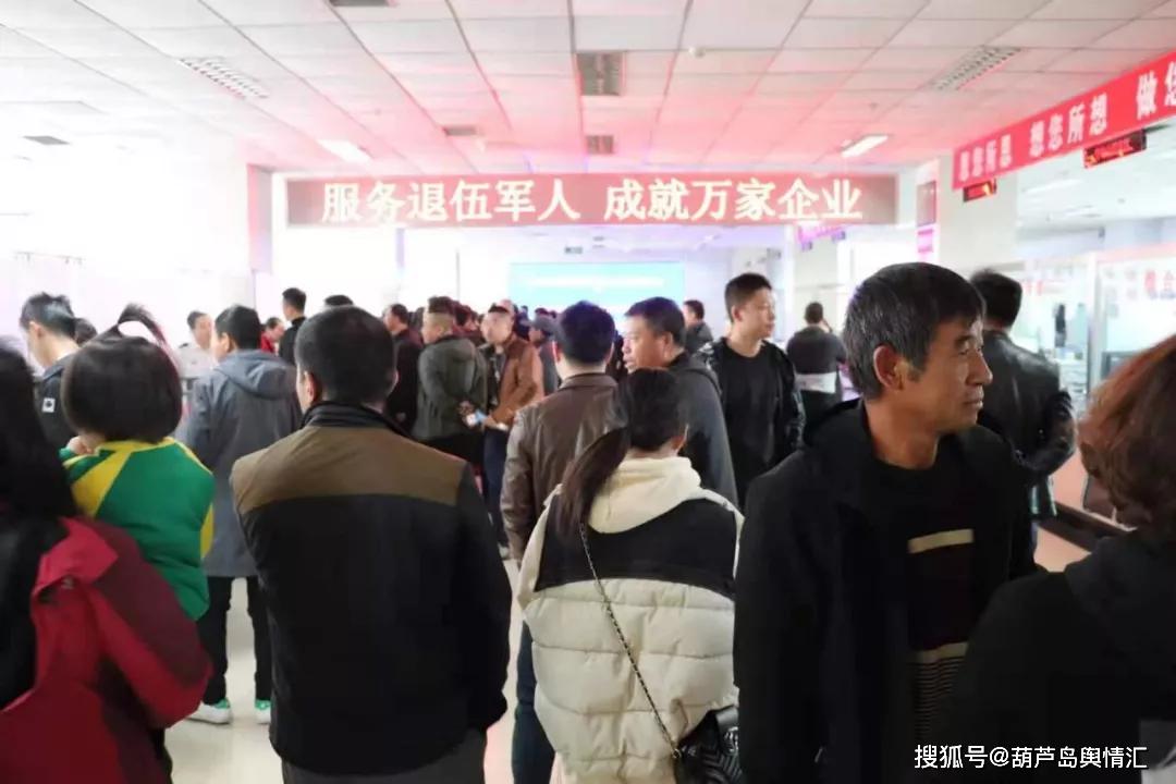 葫芦岛人才产业对接盛会，最新招聘会聚焦人才与产业对接发展