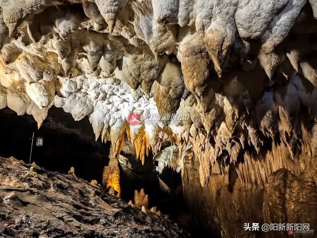 陽(yáng)新縣楓林鎮(zhèn)新聞快報(bào)