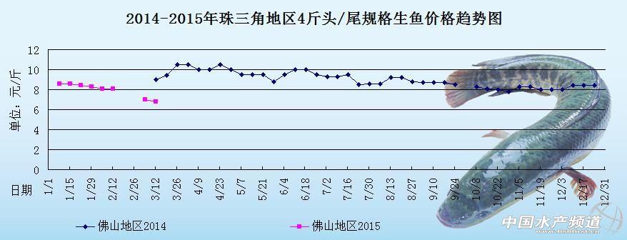 最新生鱼收购价格解析，影响因素与趋势分析