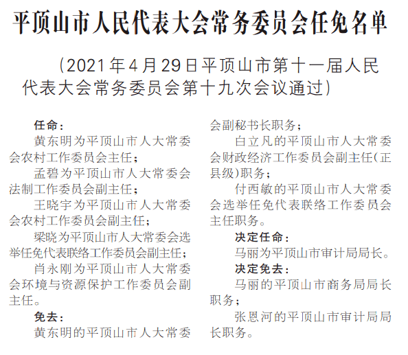 平顶山市政府新任副市长揭晓，最新任命深度解析