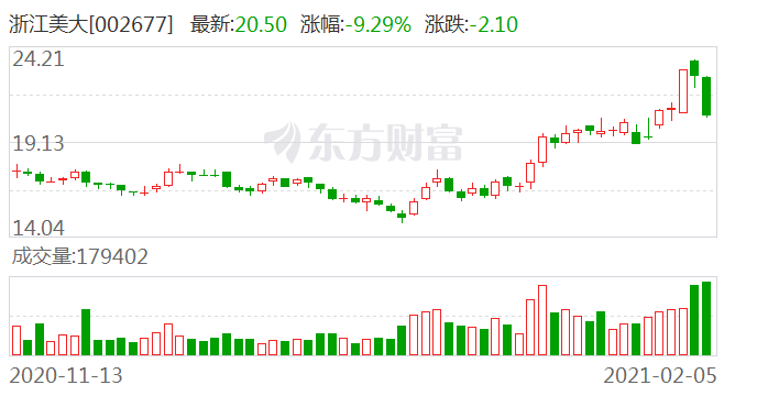 浙江美大股票最新消息全面解读与分析