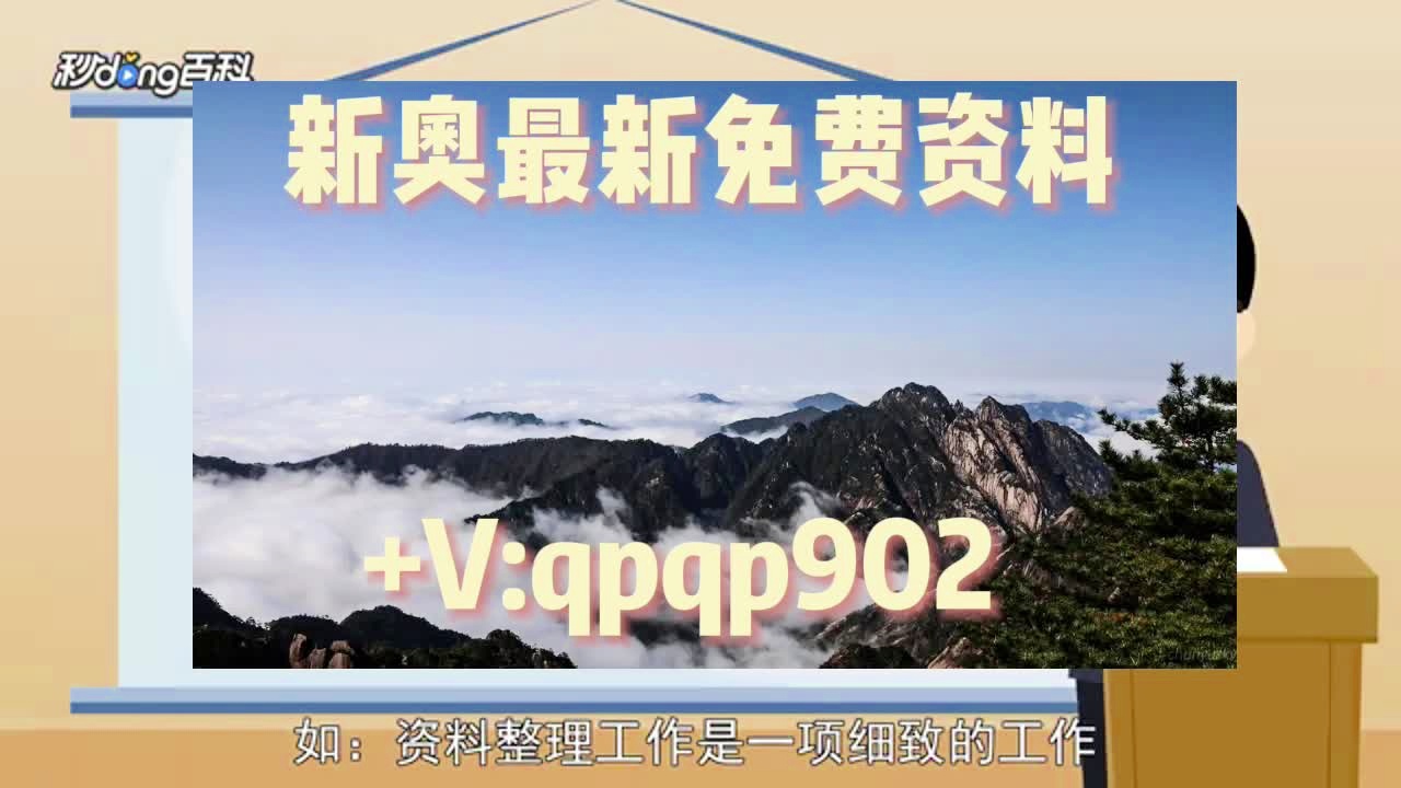 管家婆一肖资料大全019期,收益成语分析落实_定制版8.213