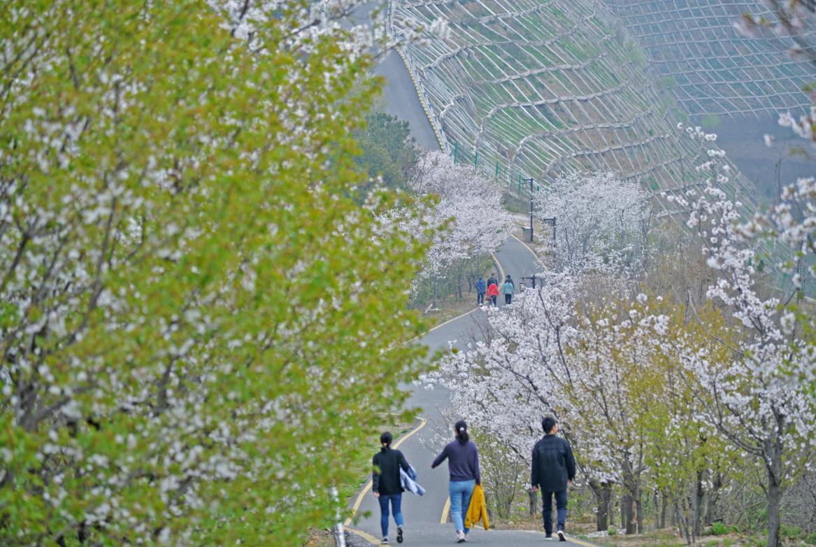 官林到常州最新時(shí)刻表全面解析