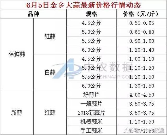 金乡县大蒜市场今日价格动态解析