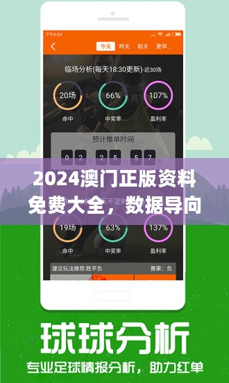 2024新澳门正版资料免费大全,福彩公益网,高效设计计划_Galaxy66.619