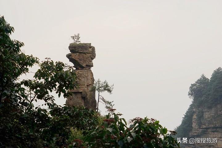 高天古道最新動態(tài)與深度解讀報道（2016年更新）