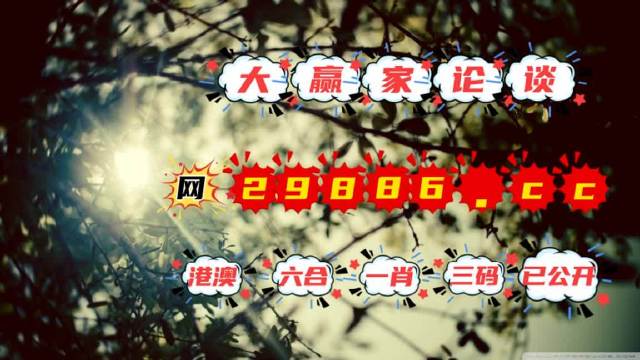 2024年11月14日 第17页