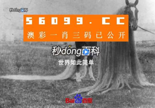 澳门一肖一码一必中一肖,持续计划实施_HDR版26.937