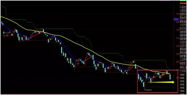 一特一码一肖,重要性解释落实方法_户外版2.632