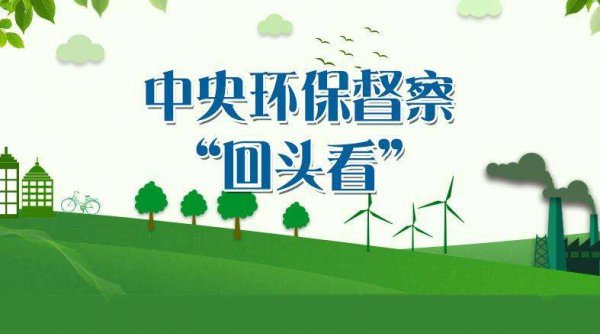 深化改革步伐的最新动态与成效分析回顾