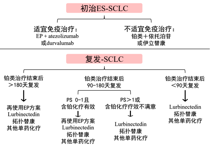 新奥管家婆资料2024年85期,理论分析解析说明_eShop80.688