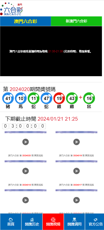 2024年11月19日 第31页