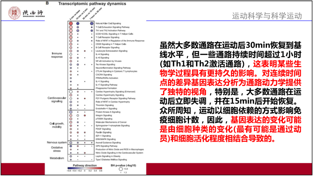 澳门4949开奖结果最快,效率资料解释定义_8DM96.767