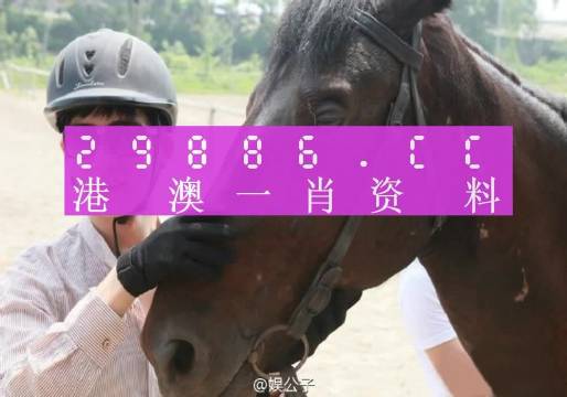 澳门今晚必中一肖一码准确9995,前沿评估说明_Essential53.195