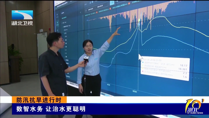 2024新澳免费资料大全精准版,合理决策评审_理财版10.645