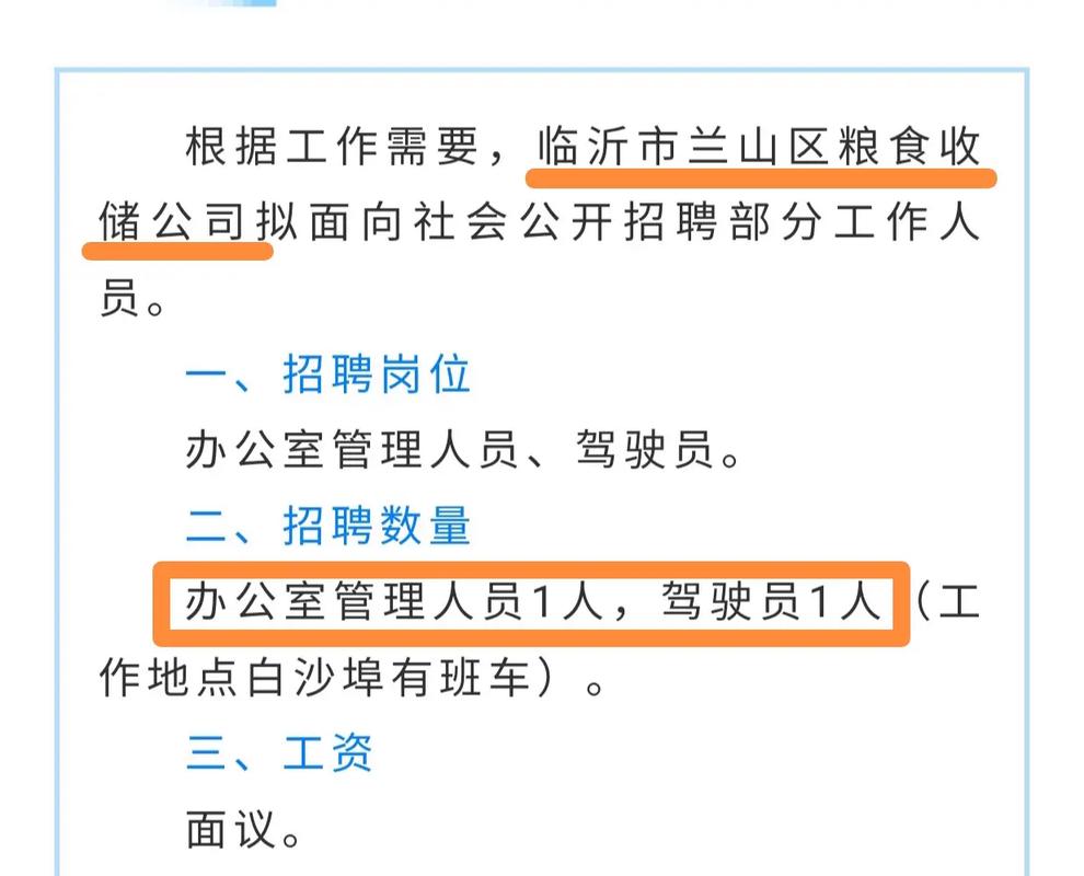 临沂在线招聘网最新招聘动态深度解读与解析