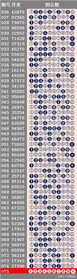 246天天天彩天好彩944cc,适用性策略设计_策略版81.284