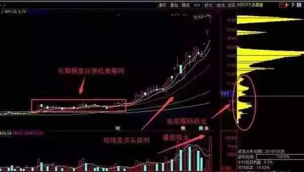 澳门今天晚上特马开什么,快捷问题解决方案_X版16.52