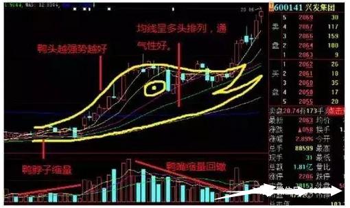 新澳门内部一码精准公开,高效性策略设计_交互版91.779