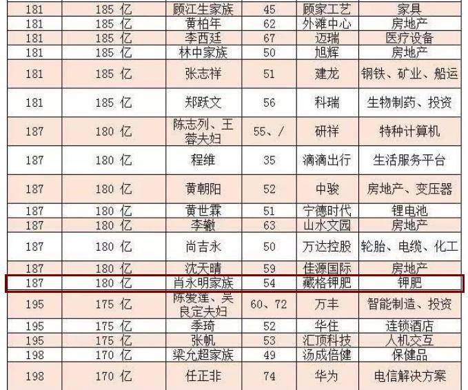 2024澳家婆一肖一特,数据解析导向计划_网红版19.120