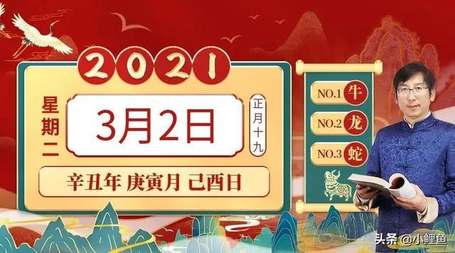 2024澳门特马今晚开奖,精细方案实施_体验版78.410