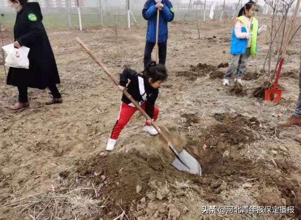 保定高铁家园打造现代化交通枢纽，助力城市新篇章发展