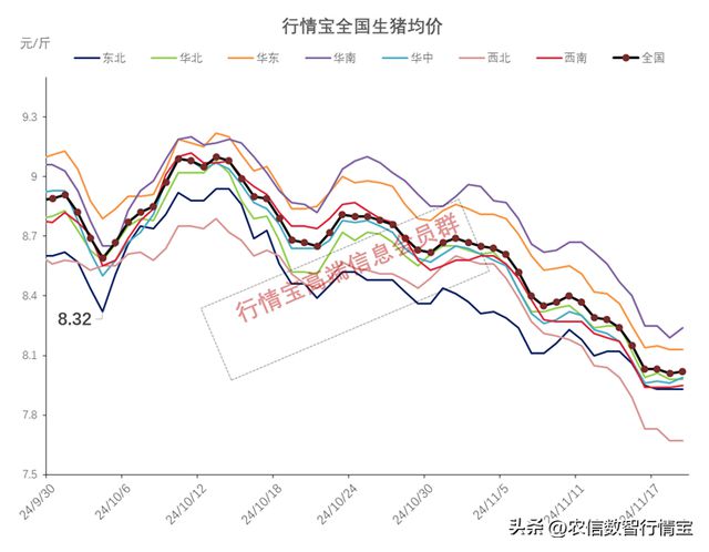 最新生豬價格行情解析