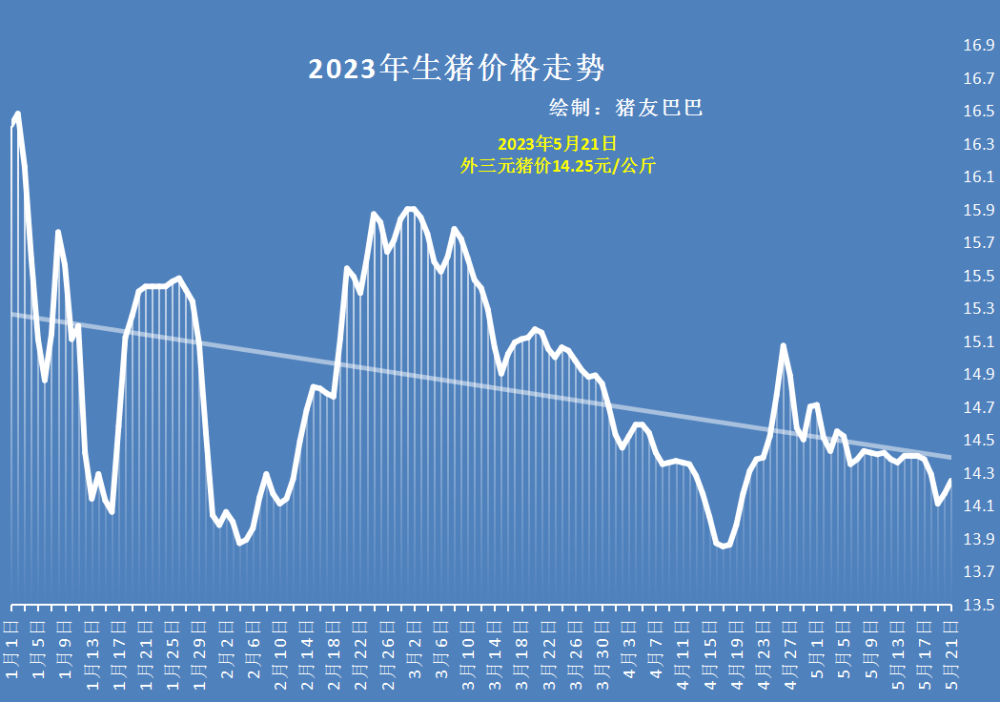 最新生豬價格行情解析