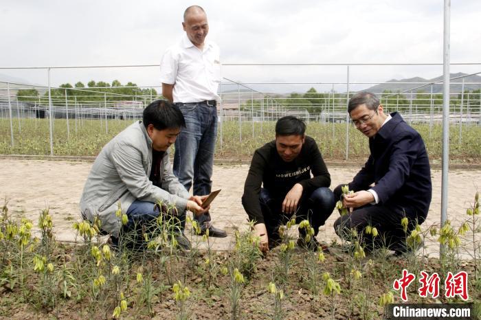 澳门正版资料大全免费噢采资,动态解析词汇_XR24.129