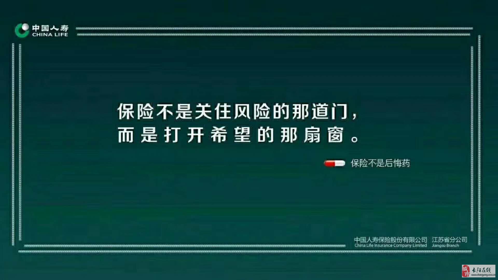 支坪镇最新招聘信息详解及招聘动态概览