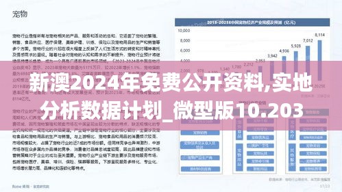 2024新澳资料免费大全,快速响应计划分析_增强版169.213