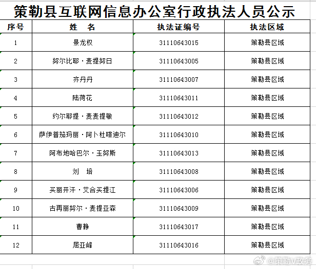 疏勒县数据和政务服务局最新发展规划探讨