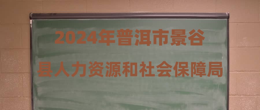 景谷傣族彝族自治县人力资源和社会保障局招聘公告概览